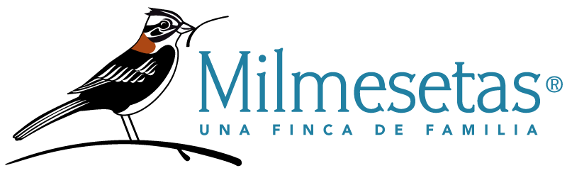Milmesetas una finca de familia